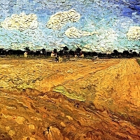 Ploughed Field