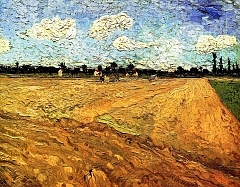 Ploughed Field