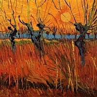 Willows at Sunset