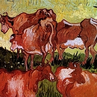 Cows after Jordaens