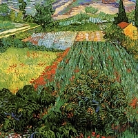 Field with Poppies