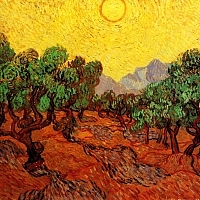 橄榄树和黄色的天空和太阳