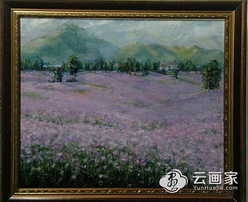 紫色熏衣草·紫色印象